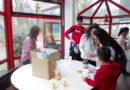Pilotphase des Mentoring-Programms an unserer Schule: Der 1. Durchgang im Schuljahr 2018/19 Pilotphase des Mentoring-Programms an unserer Schule: Der 1. Durchgang im Schuljahr 2018/19
