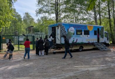 Ohne Assel keine Pommes – ein spannendes Schulprojekt im Wald